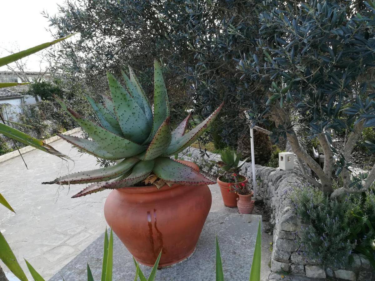 Casa Degli Avi Don Neli, Immersa Nella Natura Modica Exterior foto