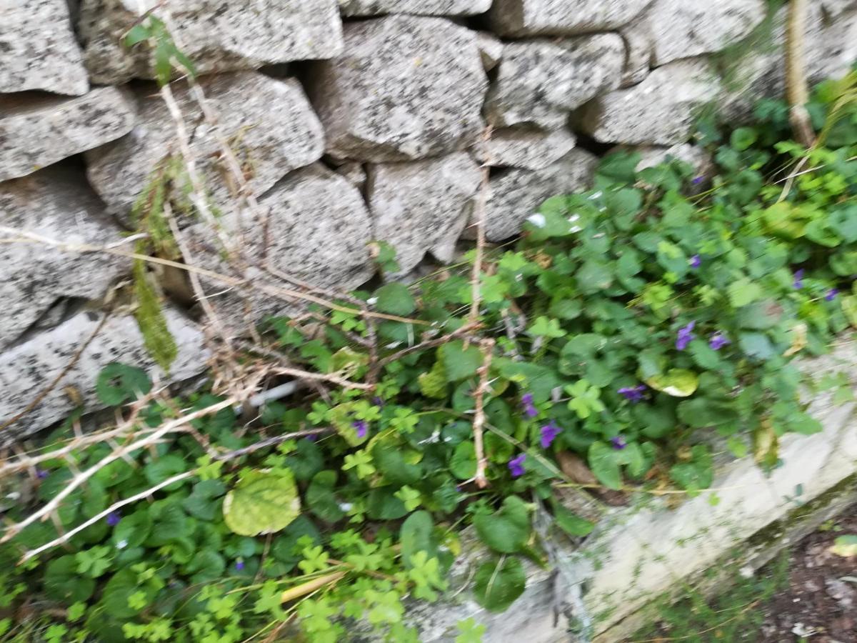 Casa Degli Avi Don Neli, Immersa Nella Natura Modica Exterior foto